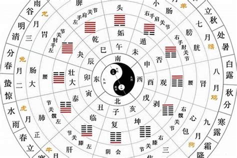 月的五行|月份五行属性